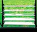 Exaco Trading G7014 Louvre Window for Bio-Star Pioneer Greenhouses