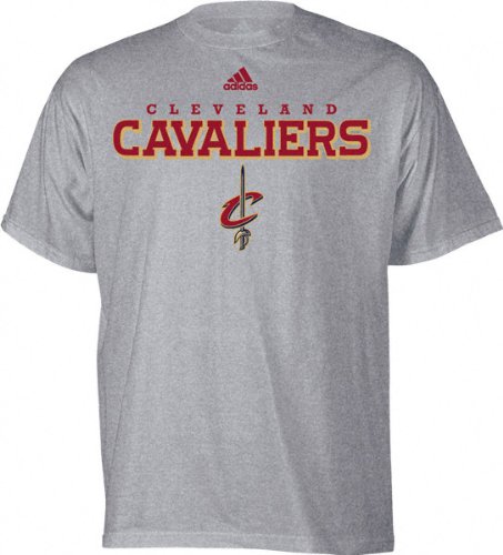 Cleveland Cavaliers Grey adidas True T-Shirt