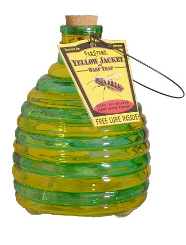 SpringStar - Glass Wasp Trap