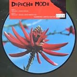 Precious [7" VINYL]