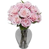 One Dozen Pink-A-Boo Roses without Vase