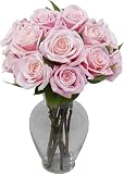 One Dozen Pink-A-Boo Roses without Vase