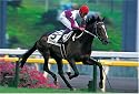 300ピース スペシャルウィーク '98日本ダービー 300-229