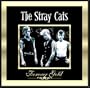 Forever Gold: Stray Cats