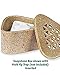 Soapstone Fruit Fly Trap Holder