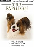 The Papillon
