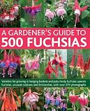 A gardener's guide to 500 fuchsias : varieties for growing in hanging baskets and pots, hardy fuchsias, species fuchsias, unusual cultivars and encliandras, with over 270 photographs