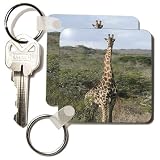 Angelique Cajam Safari Giraffes - South African Giraffe head to legs - Key Chains