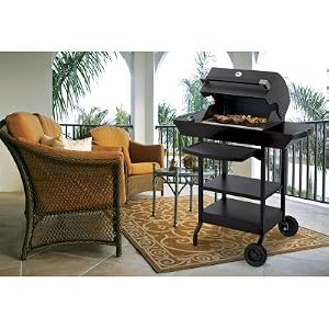 Dimplex EBQ Electric Grill