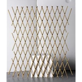 trellis