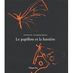 Le papillon et la lumi�re