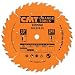 CMT 201.024.10 10 x 24 Tooth FTG, .126 Kerf, 5/8 Bore Table Saw Ripping Blade