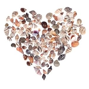 Wallmonkeys Peel and Stick Wall Decals - Seashell Heart - Removable Graphic Wallmonkeys Peel and Stick Wall Decals - Seashell Heart - Removable Graphic