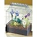 Barrel Roof English Conservatory Wardian Case Terrarium