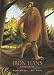 Books : Iron Hans: A Grimms' Fairy Tale (Grimms' Fairy Tales)