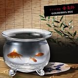 �N���A���t������ G3154