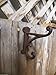 Lot Set of 6 Vintage-style School Farm CAST IRON Coat Hat HOOKS