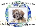 Havanese Mouse Pad Dog Mousepad "Creation"