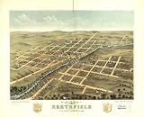 Bird's eye view of Northfield, Rice County, Minnesota 1869. Chicago Lith. Co., large historic panoramic map reprint 44x36