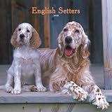 English Setters 2008 Square Wall