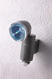 ムサシ　LEDソーラー１Ｗ　Ｓ-10Ｌ