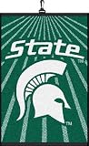 Michigan State Spartans Golf Towel