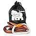 Tree Swing Hanging Strap - Heavy Duty, Water Resistant Polyester Strap + Carabiner - 5ft Long & 2'' Thick - 1200lb+ Weight Capacity - Weather Resistant - Weather Proof- Infographic Instructions.