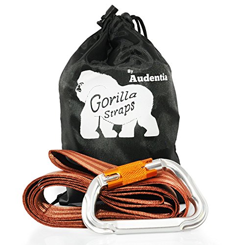 Tree Swing Hanging Strap - Heavy Duty, Water Resistant Polyester Strap + Carabiner - 5ft Long & 2'' Thick - 1200lb+ Weight Capacity - Weather Resistant - Weather Proof- Infographic Instructions.