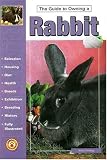 Guide to Owning a Rabbit (Re Series)