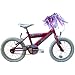Raleigh 16" Girls Bike Roxy