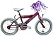Raleigh 16 Girls Bike Roxy