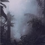 Dissolution III