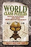 World class puzzles : riddles, paradoxes and brainteasers from around the world