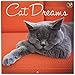 Cat Dreams Wall Calendar by TF Publishing 2016