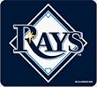 TB Devil Rays Toll Pass Holder
