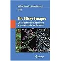 The Sticky Synapse (Cell Adhesion Molecules and Their Role in Synapse Formation and Maintenance) (Hardcover)
