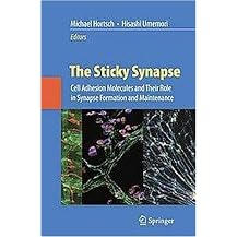The Sticky Synapse (Cell Adhesion Molecules and Their Role in Synapse Formation and Maintenance) (Hardcover)