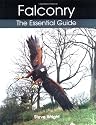 Falconry: The Essential Guide