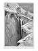 Bergschrund on the Dent Blanche in 1865, 'The Ascent of the Matterhorn' Engraved by Whymper Art Giclee Poster Print by James Mahoney, 18x24