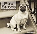 Pug Shots 2009 Calendar