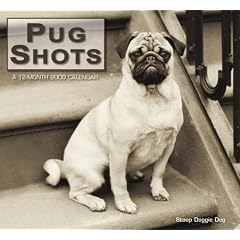 Pug Shots 2009 Calendar