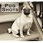 Pug Shots 2009 Calendar