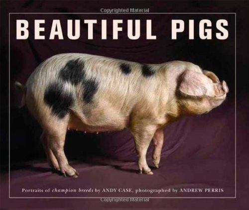 Beautiful Pigs: Potraits of Champion Breeds [Paperback]