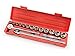 TEKTON 11651 1/2-Inch Drive Pro Socket Set, SAE, 17-Piece