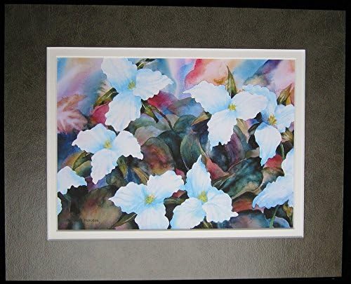 8x10 Matted Print, Trillium