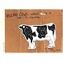 Velcro Cows