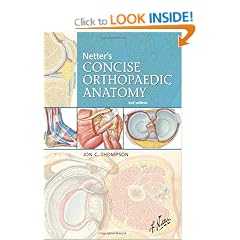 Netter's Concise Orthopaedic Anatomy (Netter Basic Science)