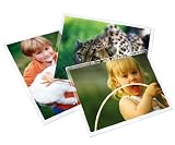 Royal Sovereign Heat Sealed Laminating Pouches 3 Mil 6" X 9" Large Photo Size Clear Gloss (25 Pack) (RF036X9C0025)