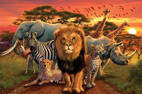 1art1 Empire 335845 Afrika - Kingdom - Elefant L&ouml;we Nashorn Gepard Poster - 91.5 x 61 cm