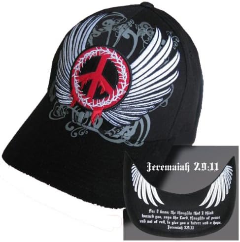 Spirit Domes Luke 9-24-25 FlexFit cap-s/m